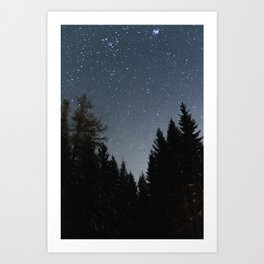 Night Sky in the Woods | Nautre and Landscape Photography Art Print