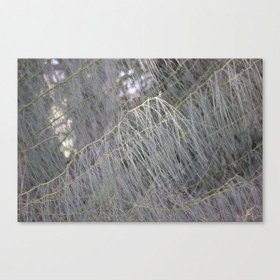 Spirit Of The Forest Canvas Print