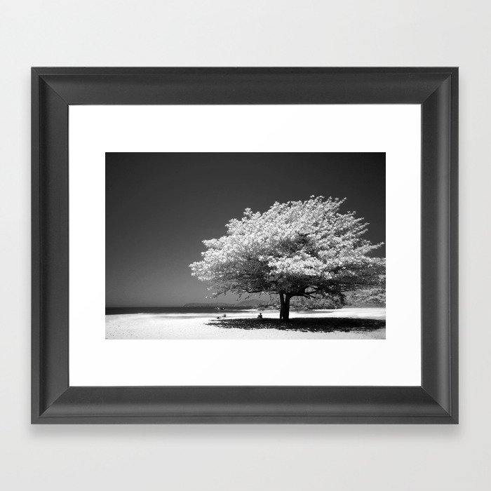 A Dogwood on the Beach Black and White Photographic Art Print Framed Art Print