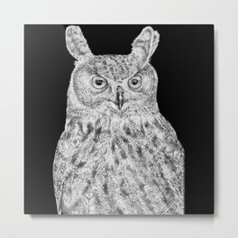 Eurasian Eagle Owl Metal Print | Drawing, Owl, Birdsofprey, Birds, Eurasianeagleowl, Wildlife, Graphite, Animal, Bird, Nature 