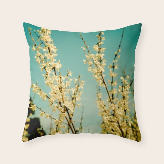 Rapturous Throw Pillow