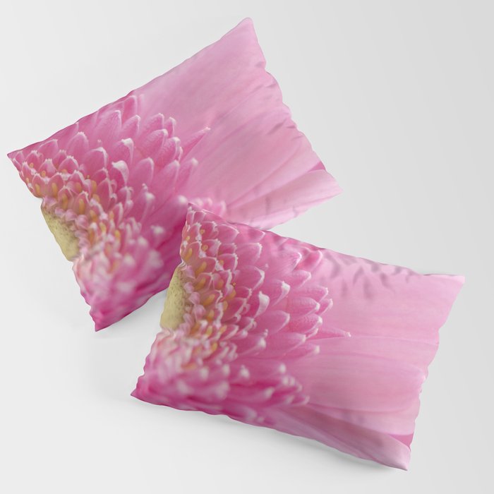 Bright pink gerbera - floral romantic nature photography Pillow Sham