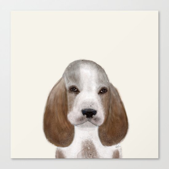 little basset hound Canvas Print
