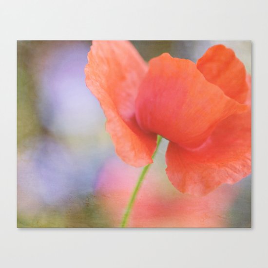 Poppy Canvas Print