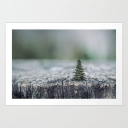 Tree by tree Art Print