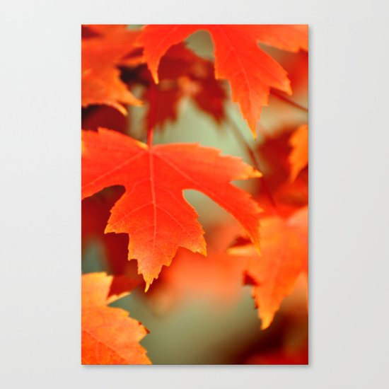 FALL LEAF - ORANGE Canvas Print