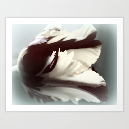 Tulip Art Print