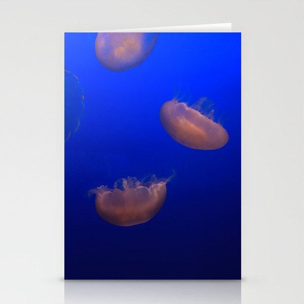 Fluther of Jellyfish 2 Stationery Cards
