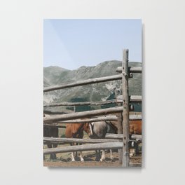 Mountain Horses | Nature & Landscape Photography Metal Print
