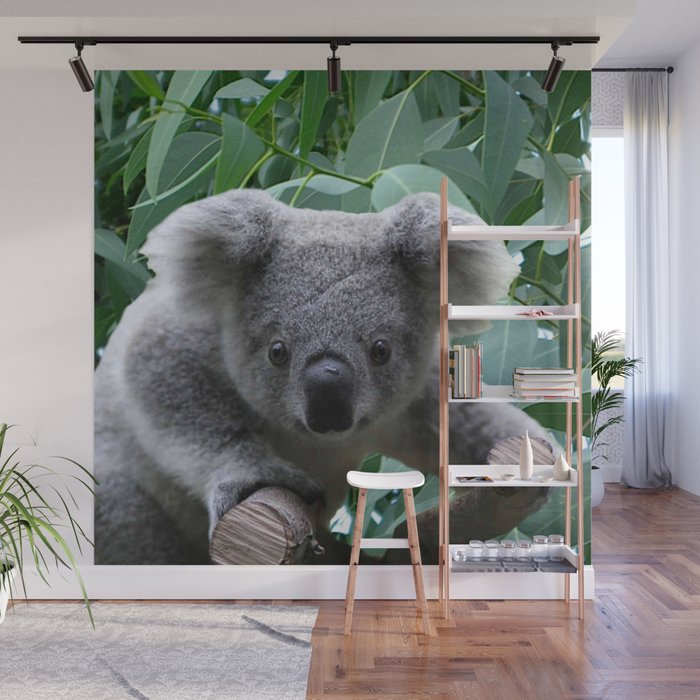 Koala and Eucalyptus Wall Mural