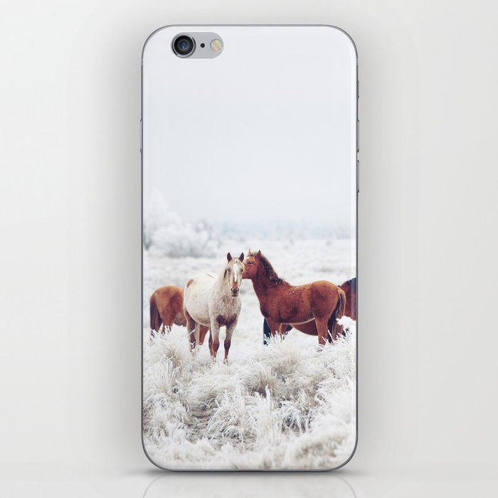 Winter Horseland iPhone Skin