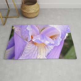 Violet Lilly Area & Throw Rug