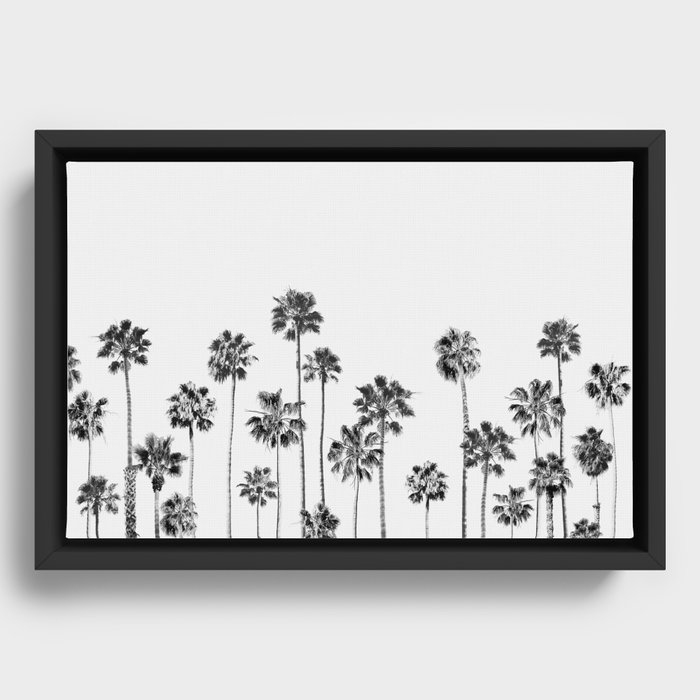 Black And White Palms 2 Framed Canvas