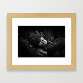 Baby Chimpanzee Framed Art Print