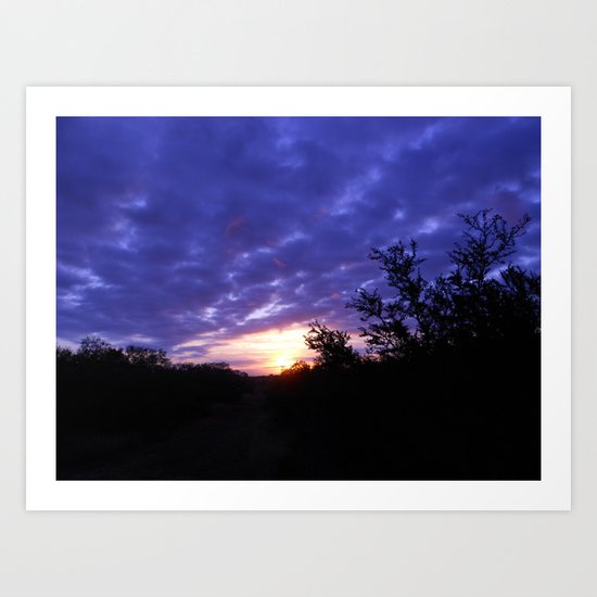The Morning Glory Art Print