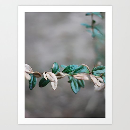 may Art Print