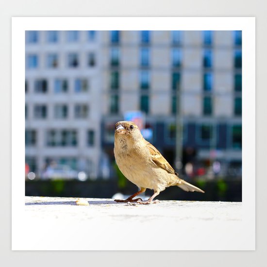 City Bird Art Print