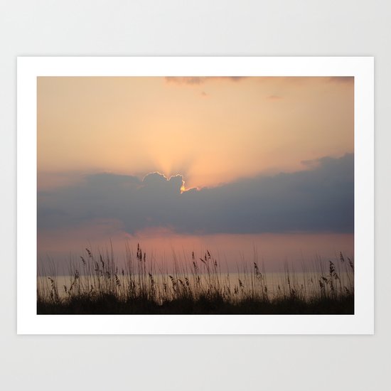 Peeking Art Print