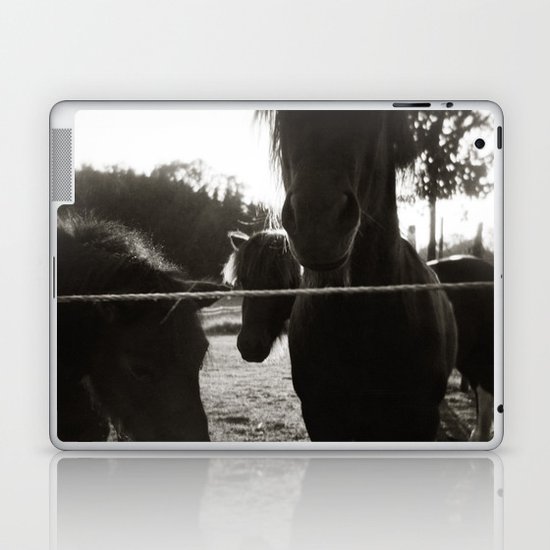 { pony pals } Laptop & iPad Skin