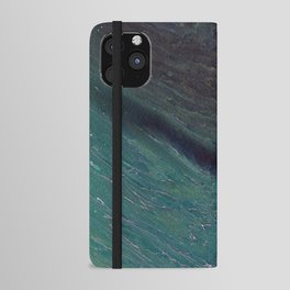 Dive in, Why Don't You iPhone Wallet Case