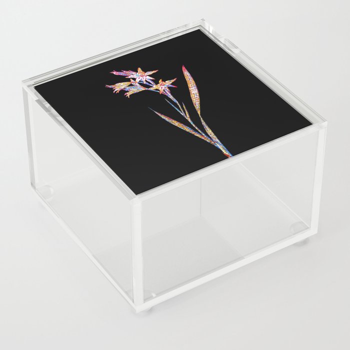Floral Gladiolus Cuspidatus Mosaic on Black Acrylic Box