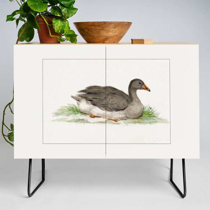Duck (1833) drawing in high resolution by Jean Bernard Credenza
