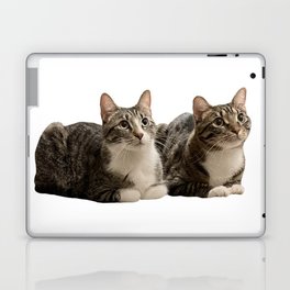 Two Cute Cat Loaves Laptop & iPad Skin