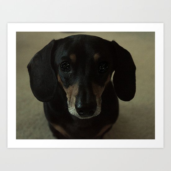 gracie. Art Print