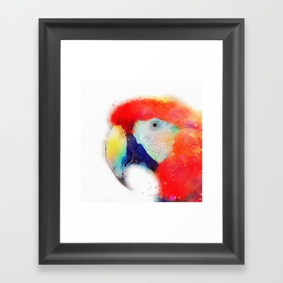 The Articulate - Parrot Framed Art Print