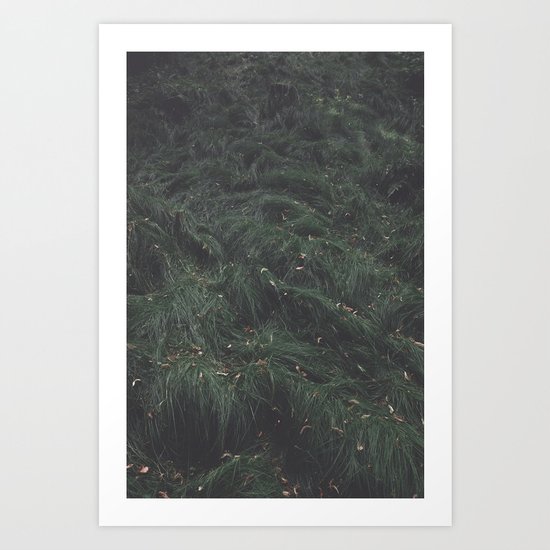 Leave(s) - Nature Photography Art Print