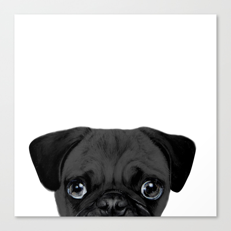 Black Pug Original Painting By Miart Canvas Print By