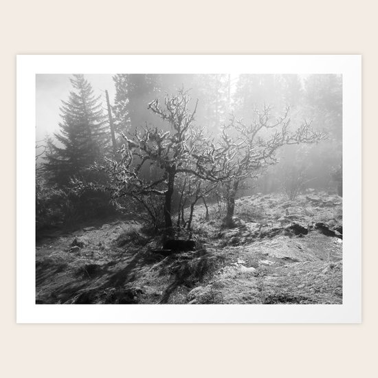 Dawn Art Print