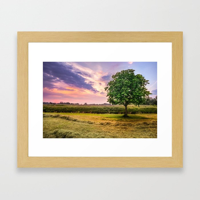 Green Tree and Sunset Sky Framed Art Print