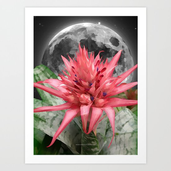 MOON - FLOWER 009 Art Print