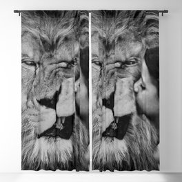 Grouchy Lion being kissed by brunette girl black and white photography Blackout Curtain