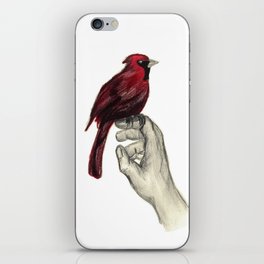 Cardinal Focus iPhone Skin