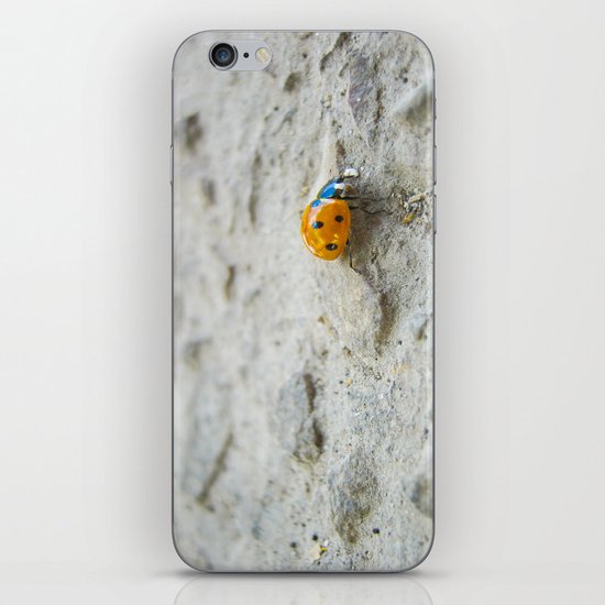 Ladybird iPhone & iPod Skin