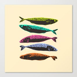 Colorful Mackerel Fish  Canvas Print