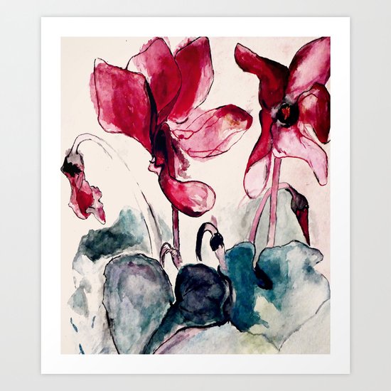 Alpenveilchen Art Print