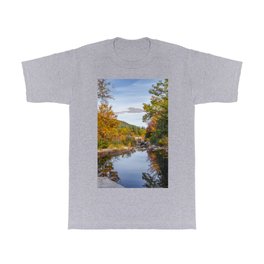 Reflective pond in Autumn T Shirt
