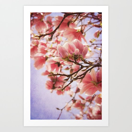 Magnolia Art Print