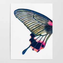 Butterfly left wing - find the right wing in my store :) Poster