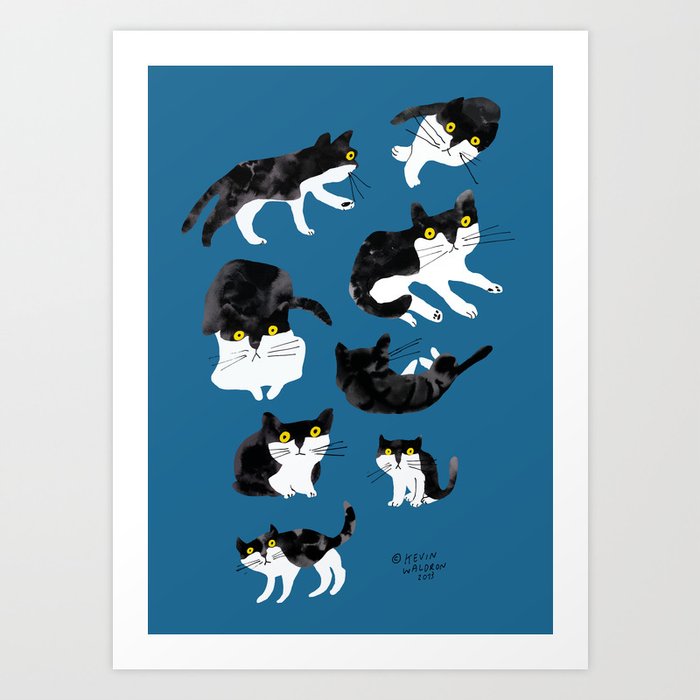 Cat study Art Print