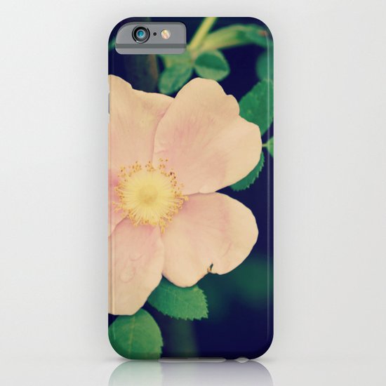 Perfectly Pretty iPhone & iPod Case