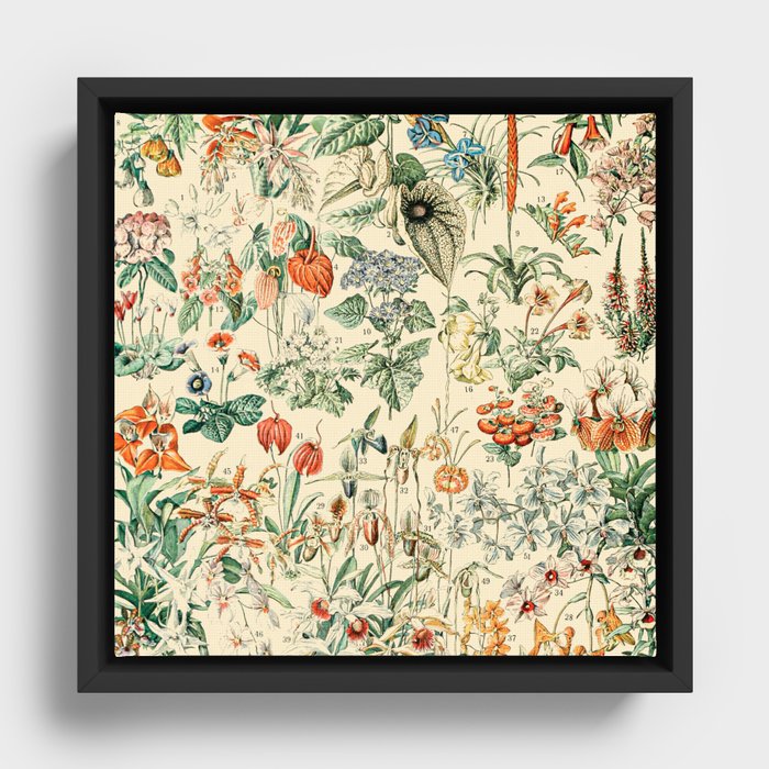 Framed Canvas