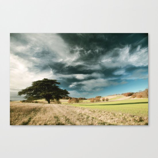 Leading Lines Canvas Print