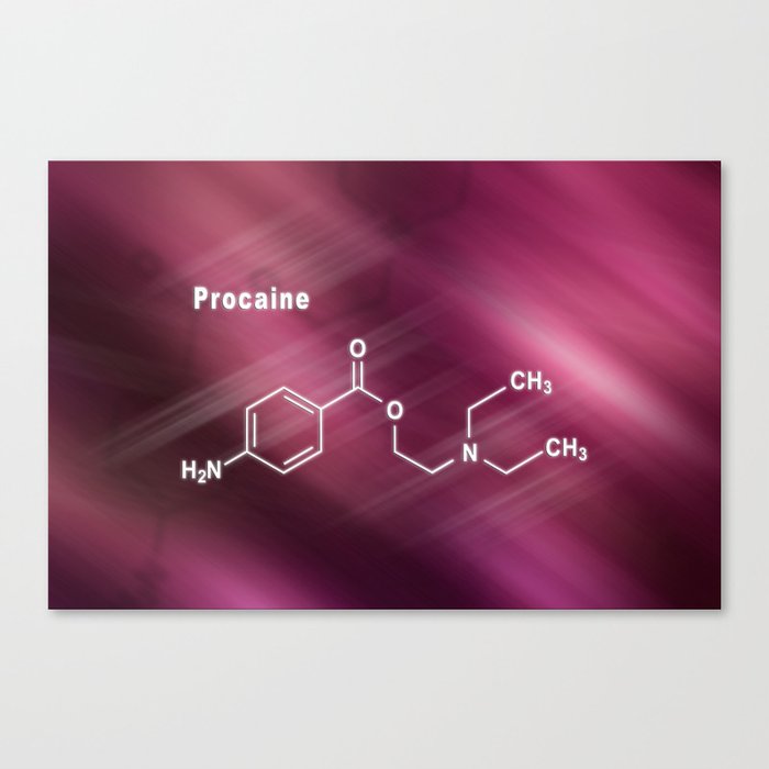 Procaine, anesthetic drug, Structural chemical formula Canvas Print