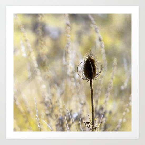 Nature Art Print
