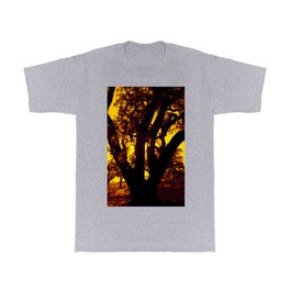 Silhouette of Coast Live Oak trees, California, US T Shirt | Evening, Coastliveoak, California, Romanticsky, Landscape, Scenics, Nature, Horizontal, Orange, Forest 