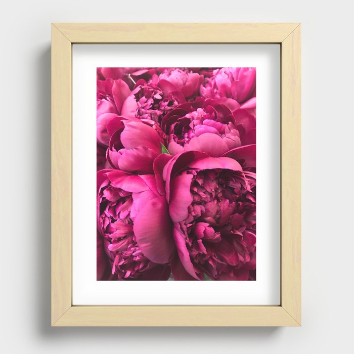 Hot Pink Peonies Recessed Framed Print